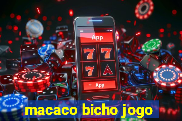 macaco bicho jogo