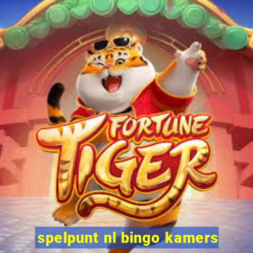 spelpunt nl bingo kamers