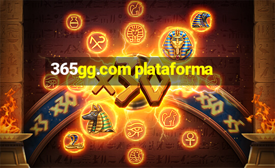 365gg.com plataforma