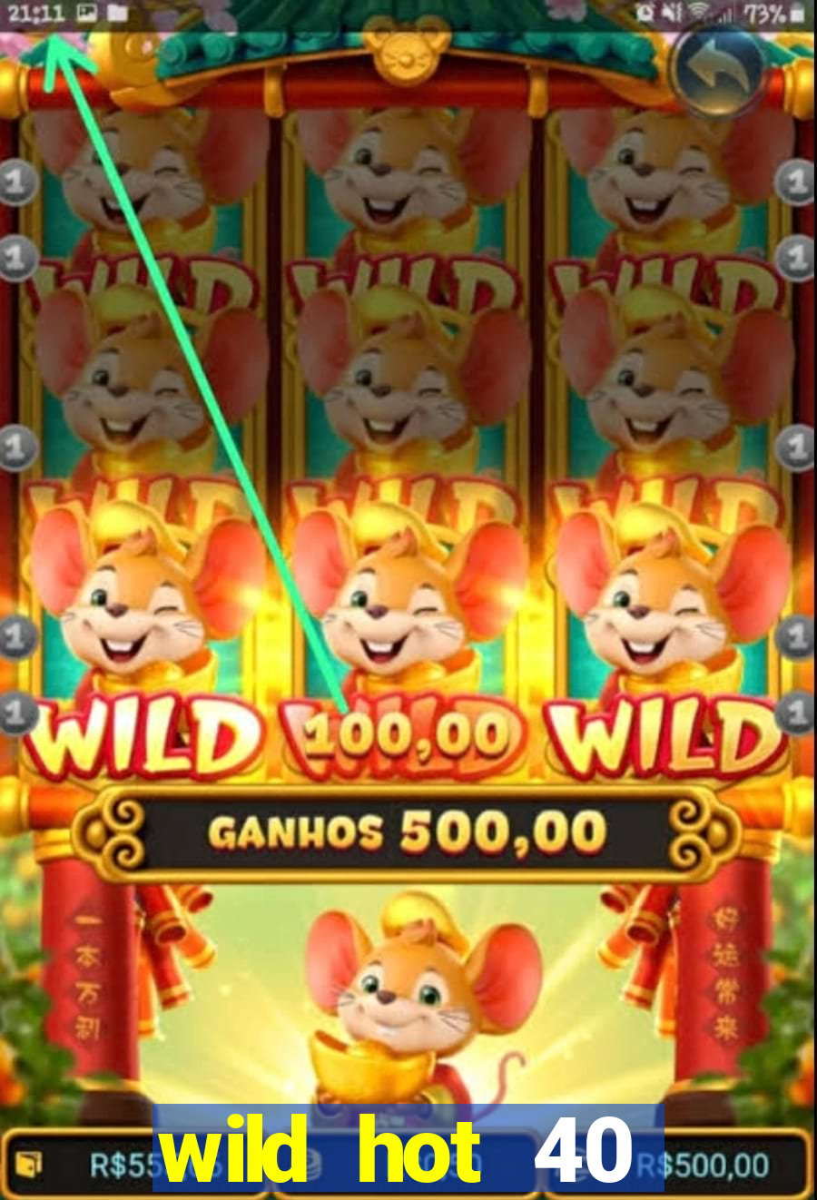 wild hot 40 christmas slot