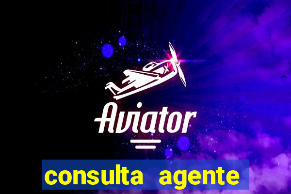 consulta agente autuador sp