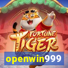 openwin999