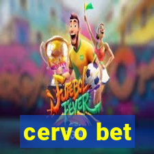 cervo bet