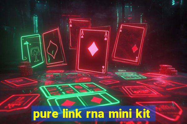 pure link rna mini kit