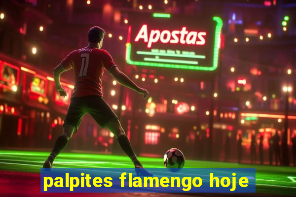 palpites flamengo hoje