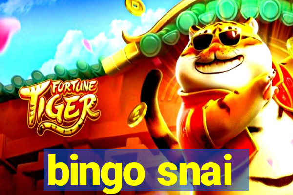 bingo snai