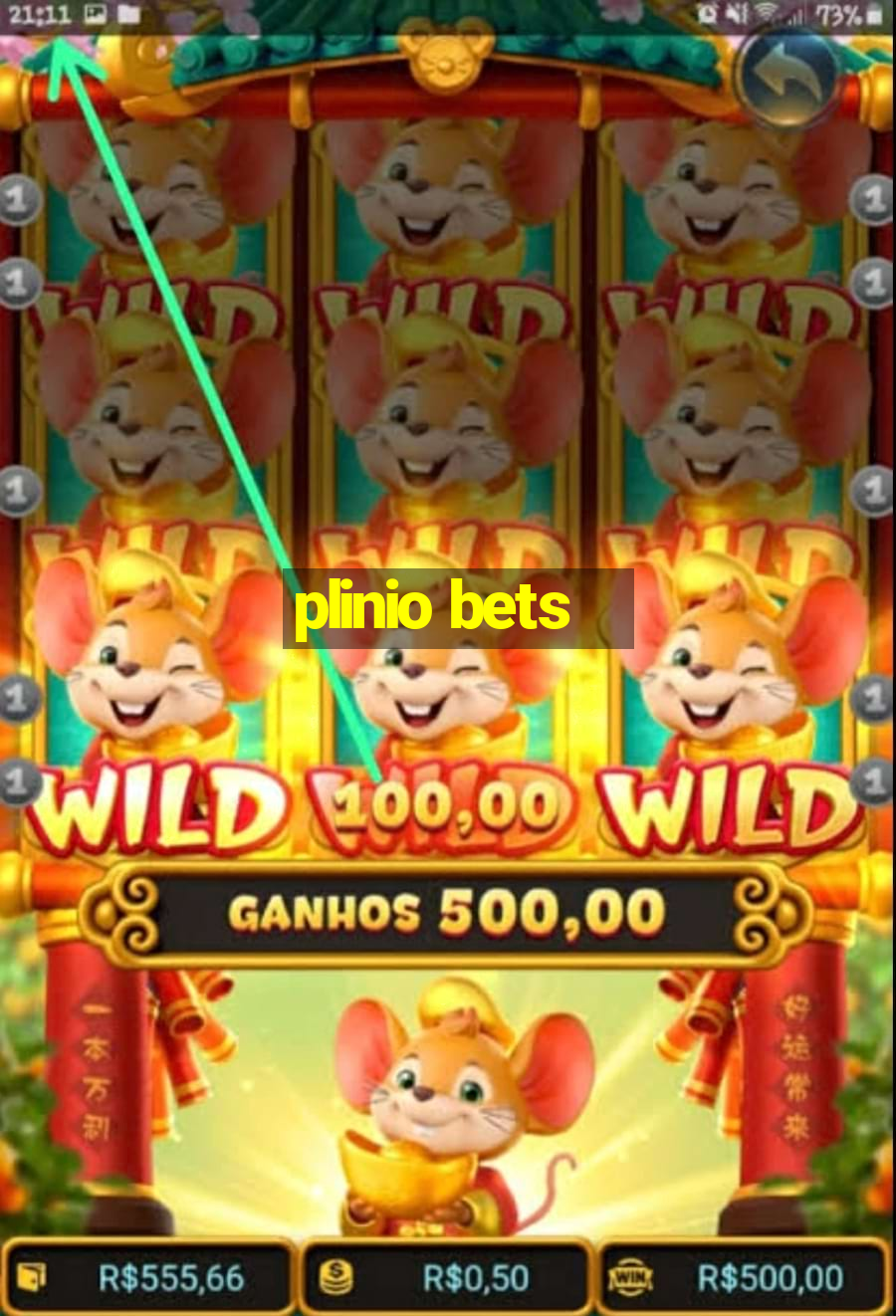 plinio bets