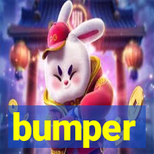 bumper