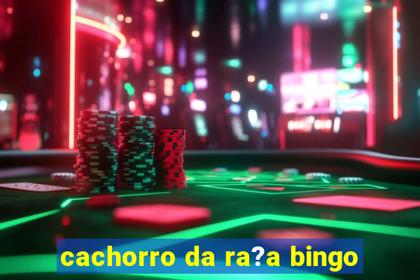 cachorro da ra?a bingo