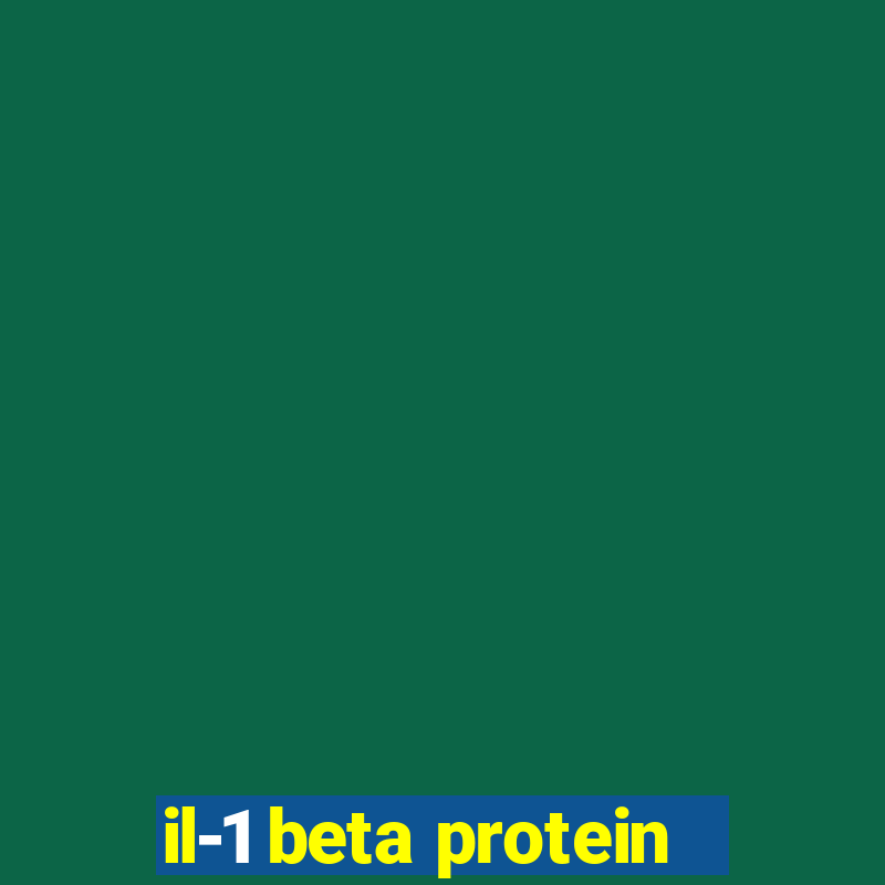 il-1 beta protein