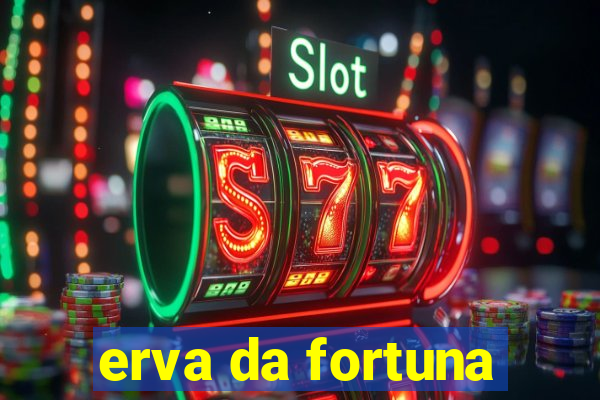 erva da fortuna