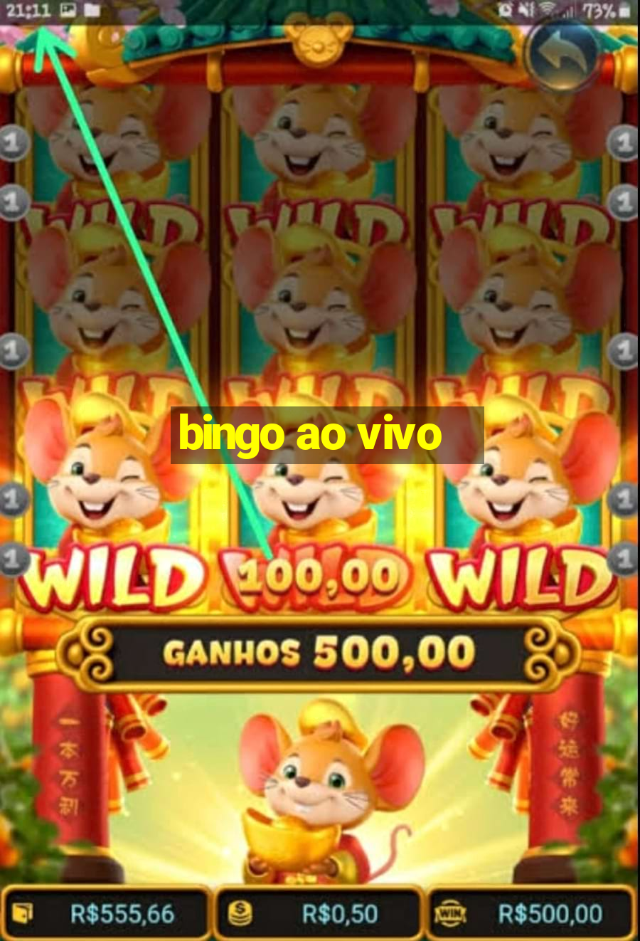 bingo ao vivo