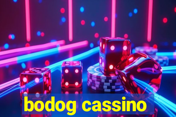 bodog cassino