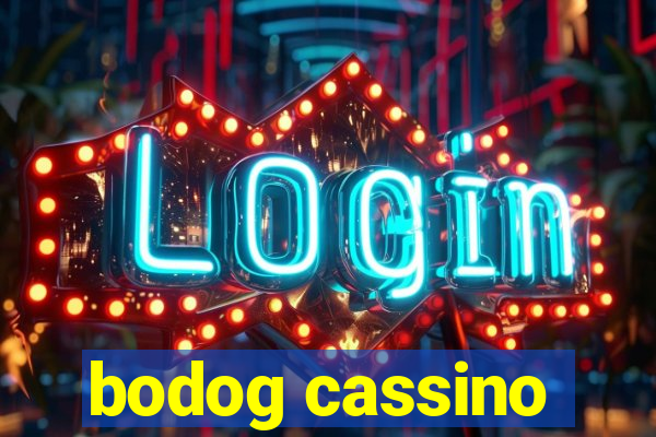 bodog cassino