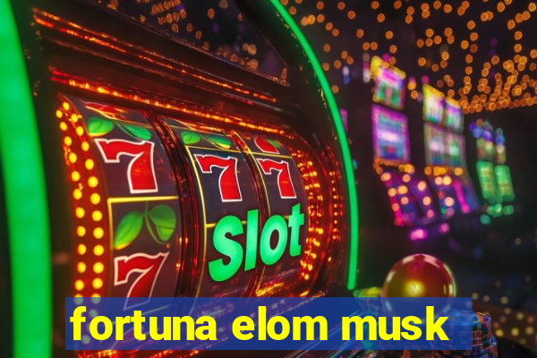 fortuna elom musk