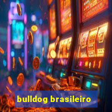 bulldog brasileiro