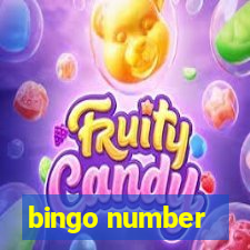 bingo number