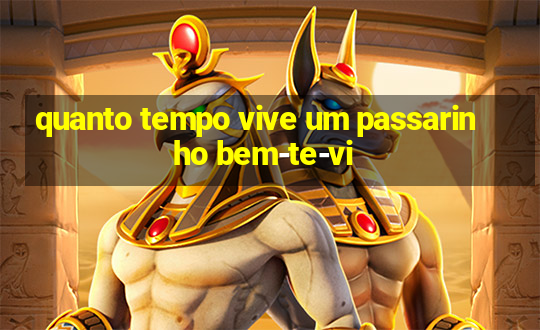 quanto tempo vive um passarinho bem-te-vi