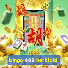 bingo 480 herbicid