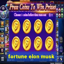 fortune elon musk