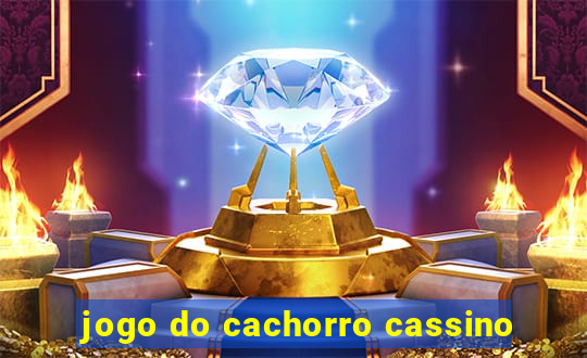 jogo do cachorro cassino