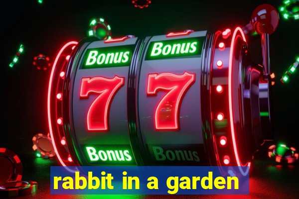 rabbit in a garden