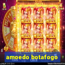 amoedo botafogo