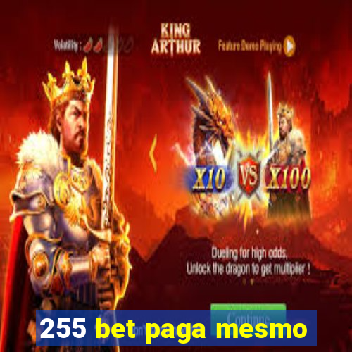 255 bet paga mesmo