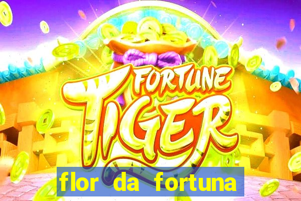 flor da fortuna como cuidar