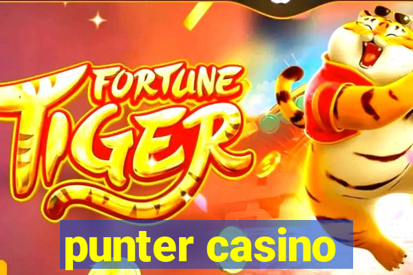 punter casino