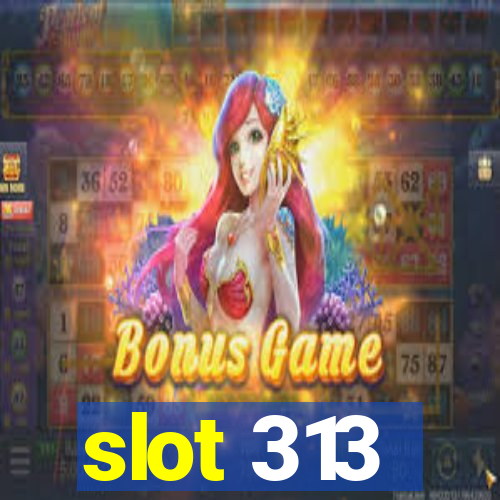 slot 313