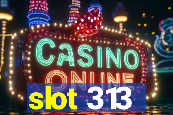 slot 313