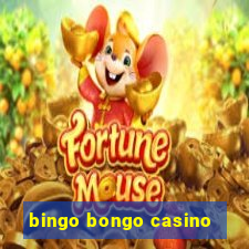 bingo bongo casino