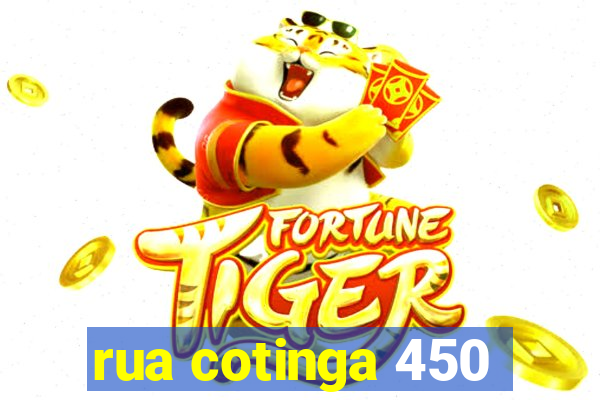 rua cotinga 450