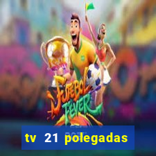 tv 21 polegadas casas bahia