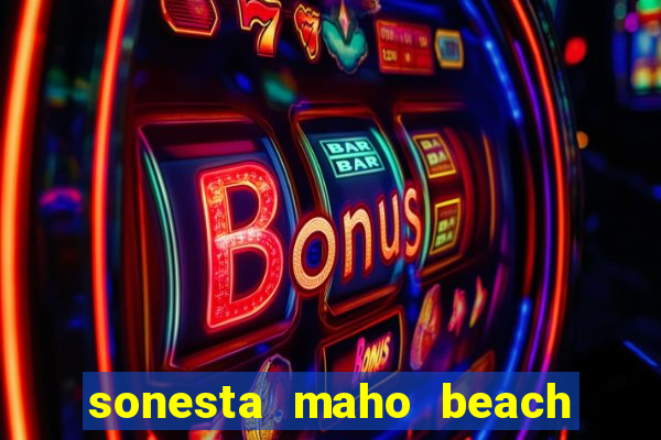 sonesta maho beach resort casino spa