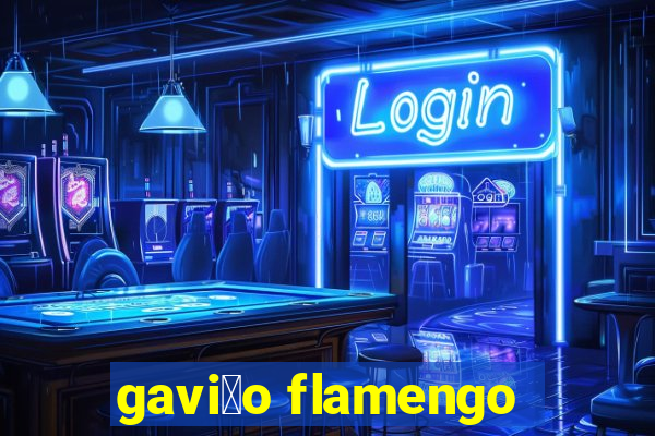 gavi茫o flamengo