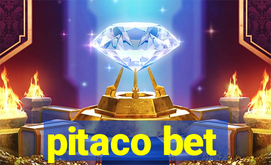 pitaco bet