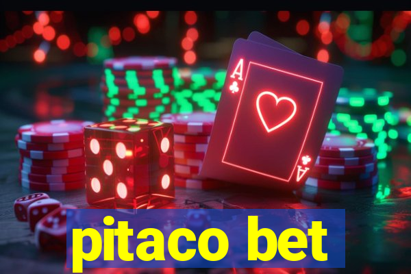 pitaco bet