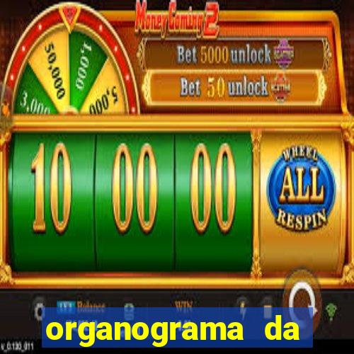 organograma da cacau show