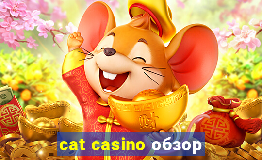 cat casino обзор