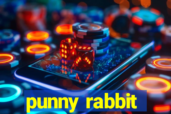 punny rabbit