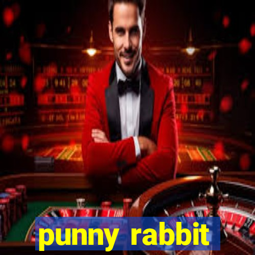 punny rabbit