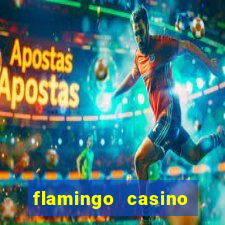 flamingo casino hotel las vegas