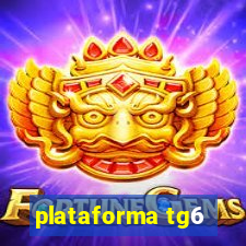 plataforma tg6