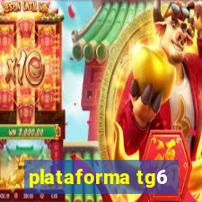 plataforma tg6