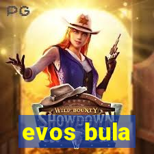 evos bula