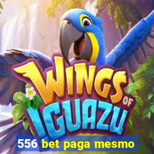 556 bet paga mesmo