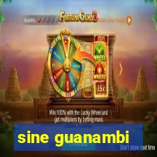 sine guanambi