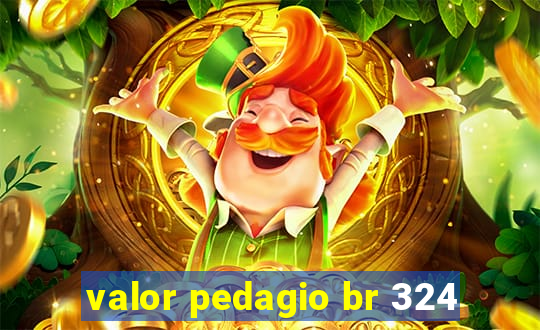 valor pedagio br 324